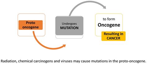  Oncogenes: The Molecular Basis of Cancer - A Breathtaking Exploration into the Cellular Battlefield!